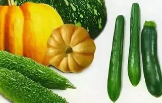 吃瓜视频苏六,吃瓜视频中的“瓜王”传奇