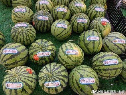 反吃瓜加盟,开启健康生活新潮流