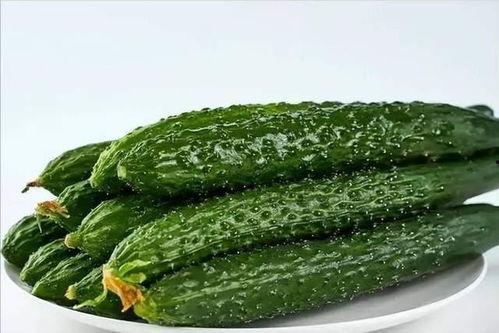 反吃瓜加盟,开启健康生活新潮流