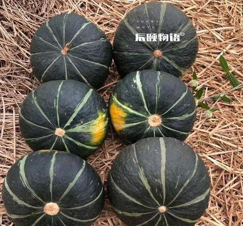 栗栗子吃瓜,揭秘娱乐圈的甜蜜与苦涩