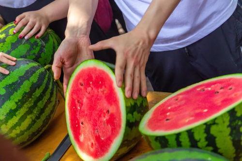 烟台学院吃瓜,吃瓜群众的味蕾盛宴