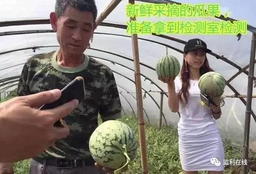 朝阳吃瓜现场直播,直播带你领略街头美食盛宴