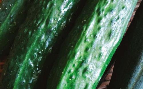 我拥有吃瓜系统,带你领略网络舆论的趣味与真相