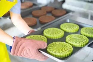 浙江农林 吃瓜,瓜果飘香，校园生活趣味盎然