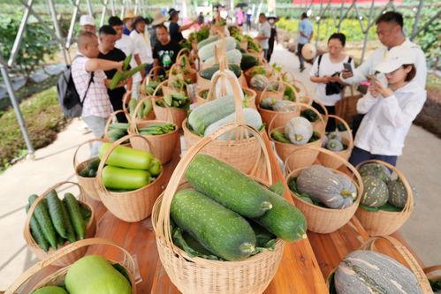广技师吃瓜,吃瓜群众揭秘校园热点事件