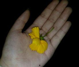 吃瓜素材视频曝光