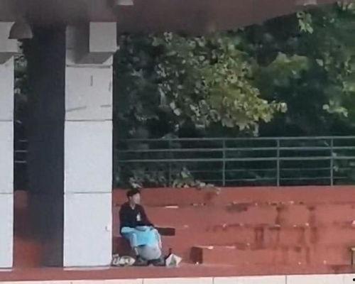 柘城吃瓜事件视频,一场引发热议的网络视频风波