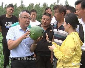 美国博士吃瓜事件,真相与反思