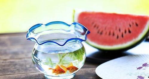 暗黑料理吃瓜爆料,一场味蕾与真相的较量