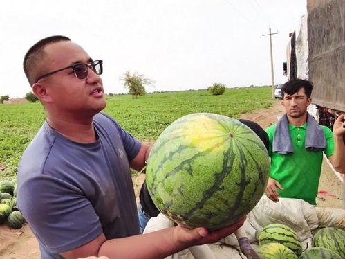 乌鲁木齐女孩吃瓜,一场甜蜜的消暑之旅