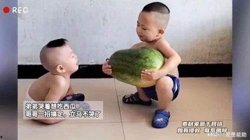 给哥哥开个瓜吃,哥哥的瓜田，谁主沉浮？