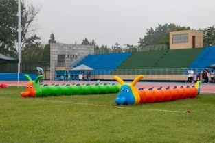 跑到操场吃瓜,共享悠闲时光