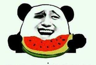 来了来了吃瓜,吃瓜群众围观“来了来了”大事件