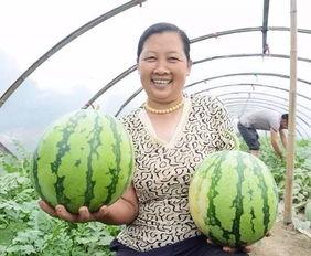 武穴郎哥吃瓜,揭秘网络红人的幕后故事