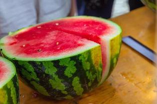 肥西吃瓜大赛,一场全民参与的夏日狂欢盛宴