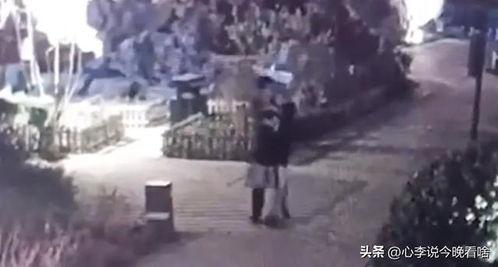 长清吃瓜事件视频,一场网络热议的瓜田奇谈