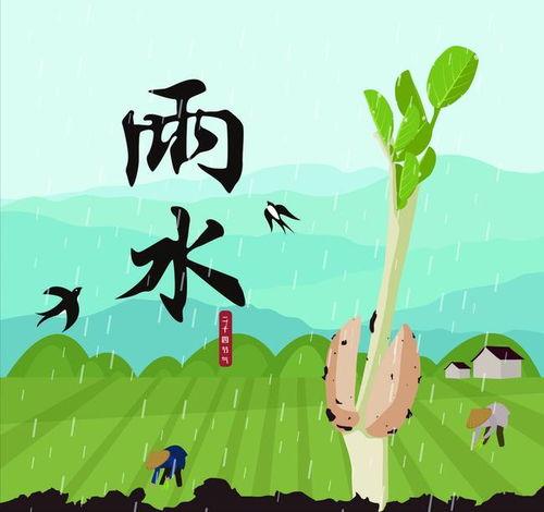 雨水吃瓜小说,一场奇幻的雨水吃瓜之旅