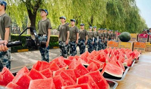 兰州职学院吃瓜,校园生活里的趣味瞬间