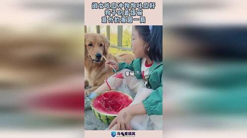 大闺女吃瓜吐籽,揭秘瓜果中的奇妙世界