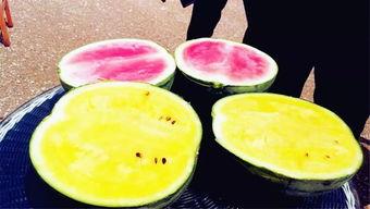 西安吃瓜爆料最新,揭秘幕后真相，热点事件深度解析