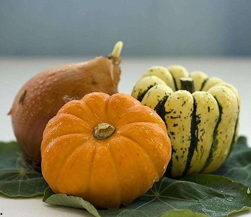 经常吃方瓜,家常美味，营养满分