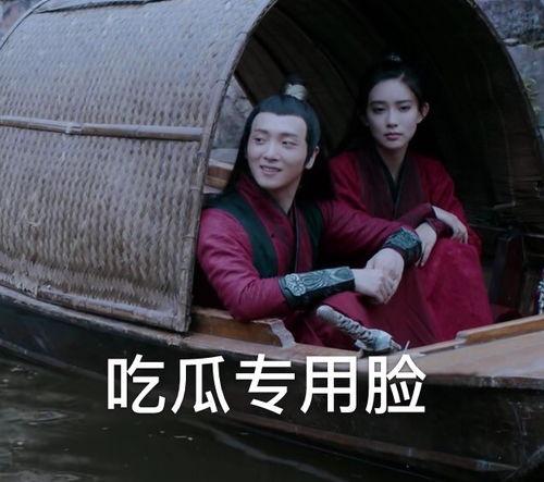 吃瓜打架博主,揭秘娱乐圈幕后风云