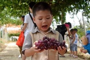 乐仔吃瓜群,揭秘娱乐圈幕后故事