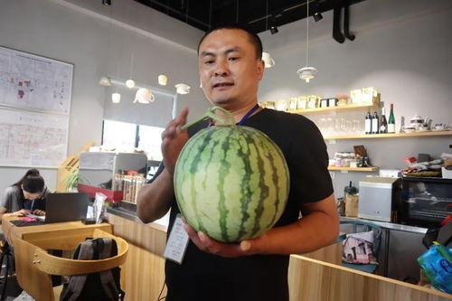 浦东吃瓜直播视频,吃瓜群众围观美食盛宴