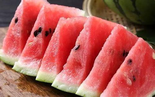 钓鱼界的吃瓜群众,揭秘“吃瓜群众”的钓鱼生活