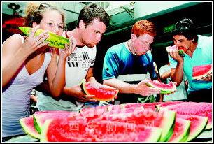 吃瓜老外铁蛋,揭秘国际视角下的中国网络文化现象