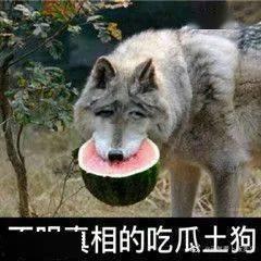 被迫吃瓜  第2张