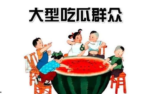 小豪吃瓜群众,揭秘娱乐圈幕后故事