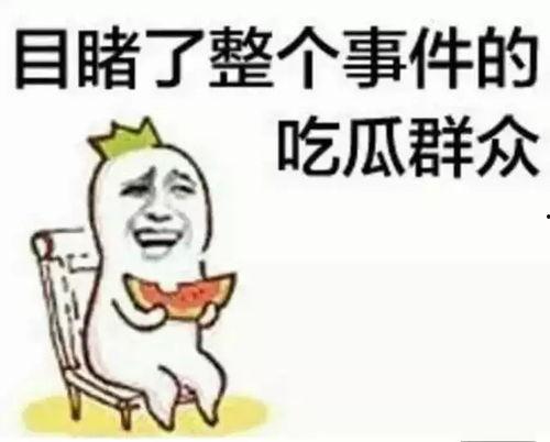 小豪吃瓜群众,揭秘娱乐圈幕后故事  第2张