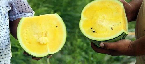 吃瓜51传媒,带你走进娱乐圈的幕后风云