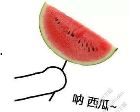 吃瓜51传媒,带你走进娱乐圈的幕后风云  第2张