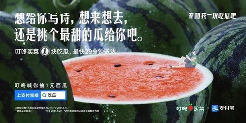 三亚吃瓜文案,解锁热带风情美食之旅