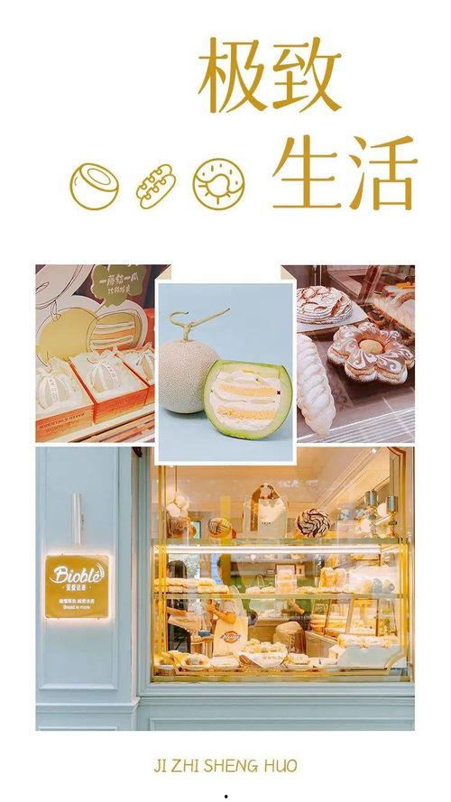 吃瓜面包店,甜蜜邂逅，品味生活新篇章