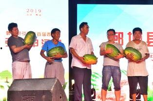 休闲广场吃瓜比赛  第2张