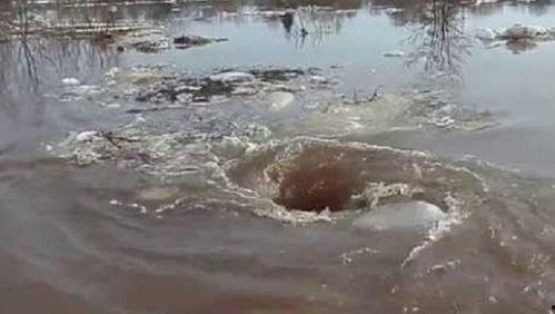 河中央漩涡吃瓜  第1张