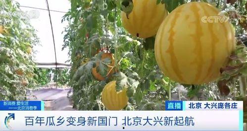 河中央漩涡吃瓜  第3张