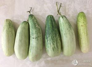 吃瓜群众吃黄瓜