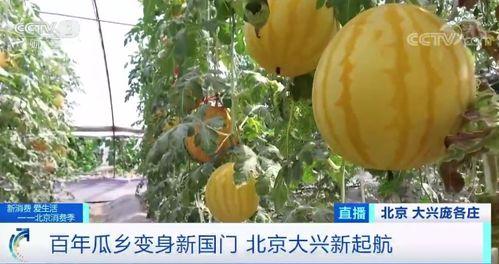 国贸360吃瓜现场,揭秘娱乐圈最新热点事件  第3张