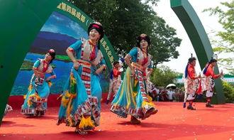 吃瓜群众的舞蹈,一场全民舞蹈盛宴  第2张