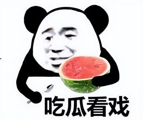 一个人爱发吃瓜的表情包,揭秘“吃瓜群众”的欢乐表情包世界