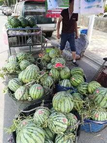 济宁冠亚吃瓜事件,一场网络热议的校园风波揭秘  第3张