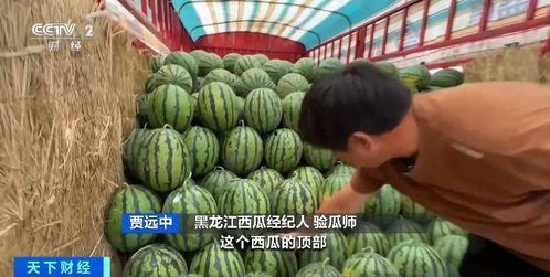 临泉吃瓜  第2张