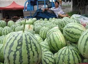 崩铁吃瓜图  第3张