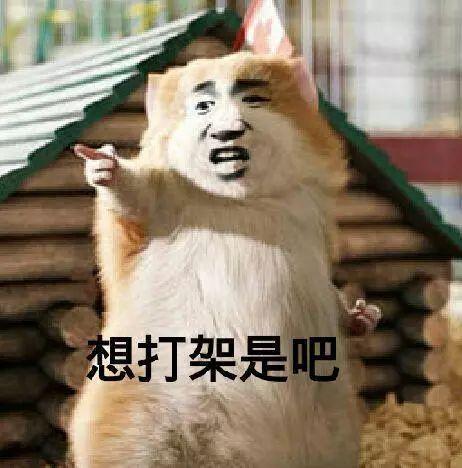 吵架又吃瓜,一场激烈的网络口水战  第3张