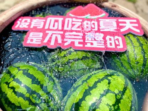 小张吃瓜现场气氛,气氛热烈，瓜味十足  第2张