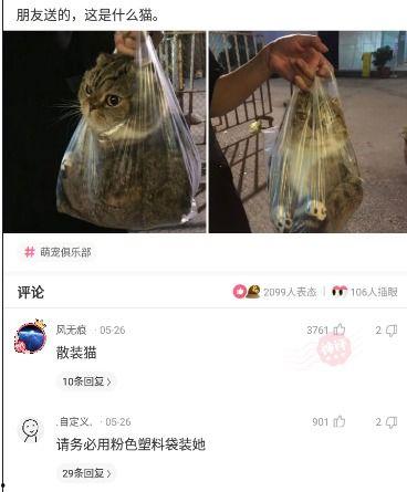 吃瓜群众很大胆,吃瓜群众大胆揭秘明星幕后故事